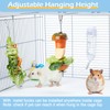 Amaezorx 2Pcs Stainless Steel Rat Foraging Toys, Hanging Rodent Enrichment