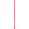 BIC Evolution Graphite Pencils - Box of 12 - HB
