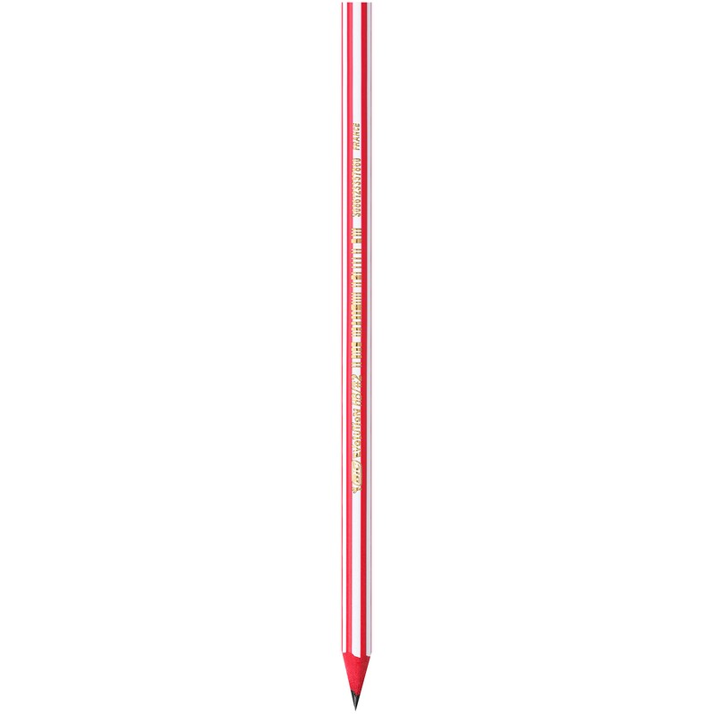 BIC Evolution Graphite Pencils - Box of 12 - HB