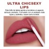 Gloss Labial Mate 6pcs Larga Duración Pigmentación Intensa