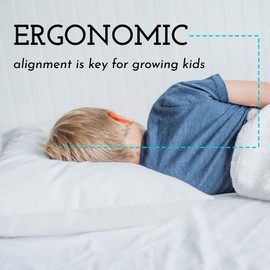 Little Sleepy Head Youth Pillow with Pillowcase 16x22, Soft Jumbo Toddler Pillow, Best Kids Travel Pillow (Blue)