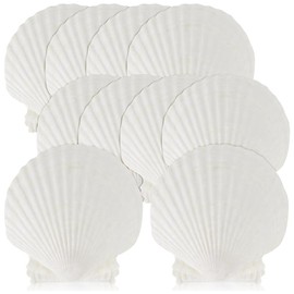 Giilayky 15 PCS Natural Sea Shell Large White, 4-4.7 Inch Scallop Shells for DIY Craft, Serving Food, Baking and More 10-11cm