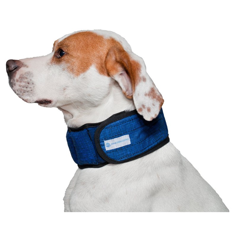 Aqua Coolkeeper Pacific Necklace Refreshing, Blue