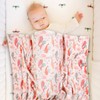Minky Baby Bed Blanket Newborn Mink Blanket Double Layer with