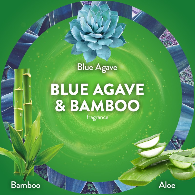 Air Wick Scented Oils 0+5 Blue Agave and Bamboo​