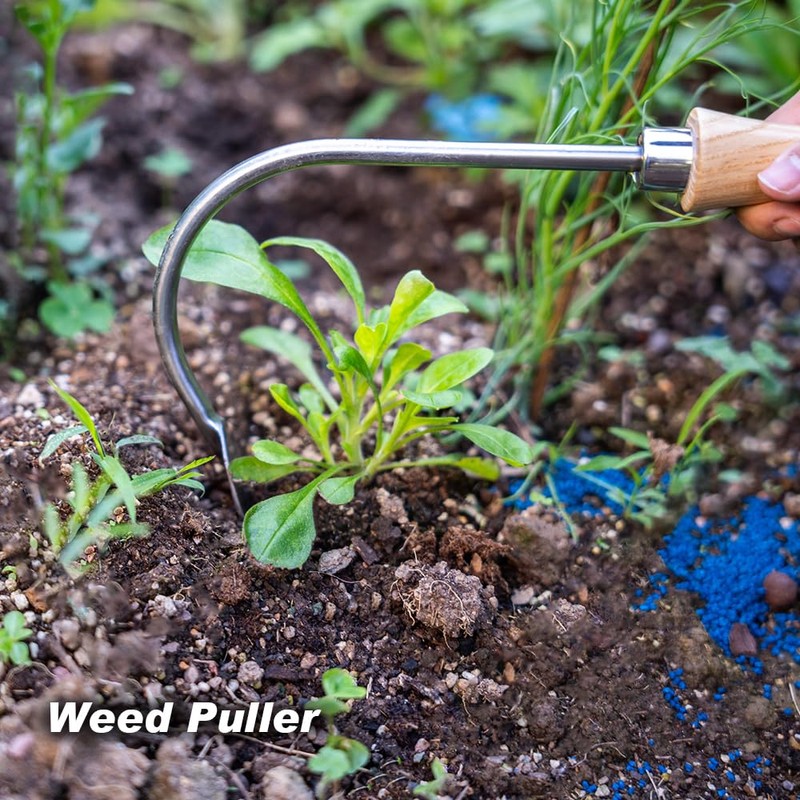 Berry&Bird Weed Puller, Crack Weeder Cultivator Garden Hand Tool, Durable