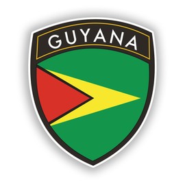 2 x 10cm/100mm Guyana Flag Design Vinyl Stickers Travel Luggage #10659