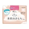 Ellis Bare Skin Kimochi Ultra Slim with Wings, 9.1 inches