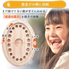 CHURACY Bear Tooth Case, Premium Paulownia Case, For Girls, Boys, Baby Teeth, Comes with Inner Lid to Prevent Falling