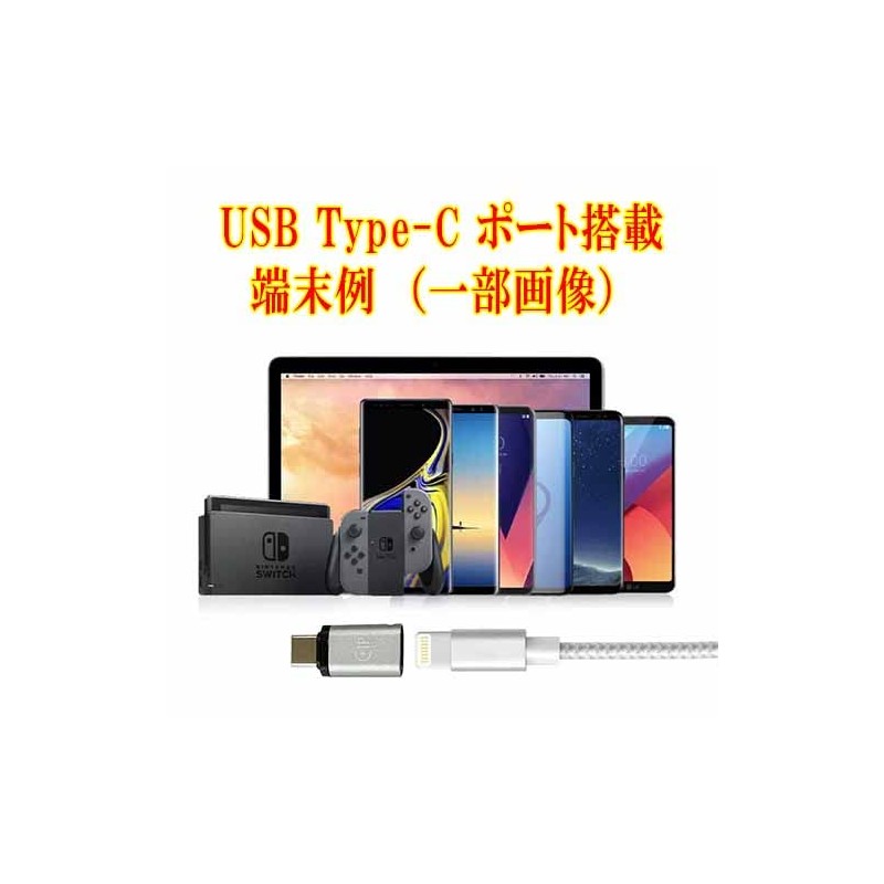 Lumen Lumen Lightning Female to USB Type-C Male Converter Adapter
