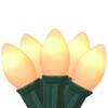 Opaque C7 Christmas String Lights - Clear - 24' Green