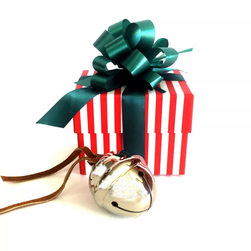 Polar Express Sleigh Bell Gift Set