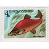 1983 Sockeye Salmon Fish 4k Russia Postage Stamp