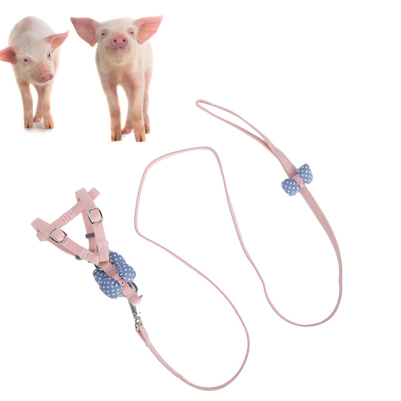 Pet Pig Vest Harness with Leash Set EscapeProof Walking Harness