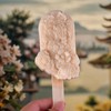 4 Pcs Popsicles Molds Flower Ice Cream Silicone Molds Floral