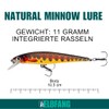 Set of 4Elbfang Natural Minnow Lure Predatory Fish Pike Fishing