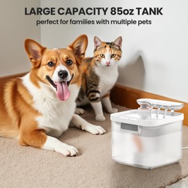 Cat Water Fountain 85oz/2.5L Dog Water Dispenser with Ultra-Filtration 90-Days Long Lasting Filter, Smart Pet Fountain with Triple Filtration | Ultra Quiet | Water Level Window