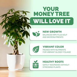Money Tree Fertilizer for Money Trees and All Pachira Plants, Liquid Plant Food 8 oz (250mL)