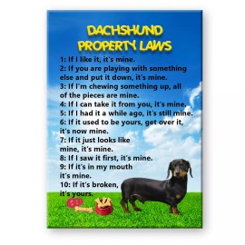 DACHSHUND Property Laws FRIDGE MAGNET No 2 Doxie Steel Cased
