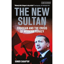 The New Sultan: Erdogan and the Crisis of Modern Turkey