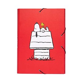 Erik - Snoopy 3 Flap Folder