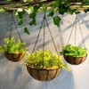 Anvin Hanging Chains for Plants Flower Pot Basket Chains 3