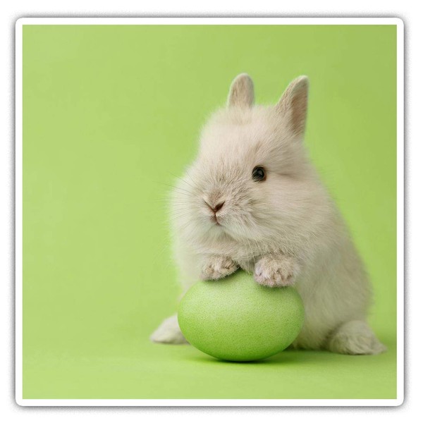Square Stickers (Set of 2) 7.5cm - Cute Easter Bunny