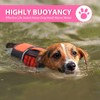 Queenmore Small Dog Life Jacket, Adjustable Pet Life Vest for