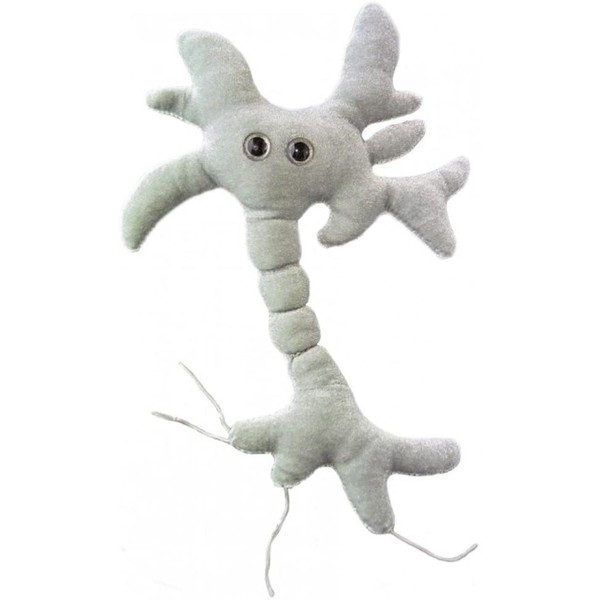 Giant Microbes Brain Cell (Neuron) Plush Toy
