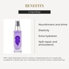 SALERM - Grape Seed Oil - Salerm Grapeology Biokera Natura
