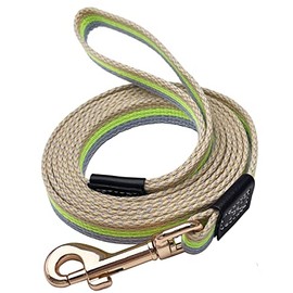 Shorven Soft Cotton Web Dog Leash Basic Training Walking Lead, 10FT Long, 0.6 Inch Wide Green