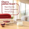 Downy Cozy Collection In-Wash Laundry Scent Booster Beads, Cherry Jubilee