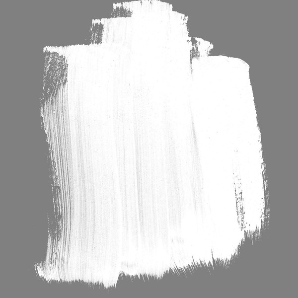 32 Oz Fluid Acrylic Color Paints Color: Titanium White