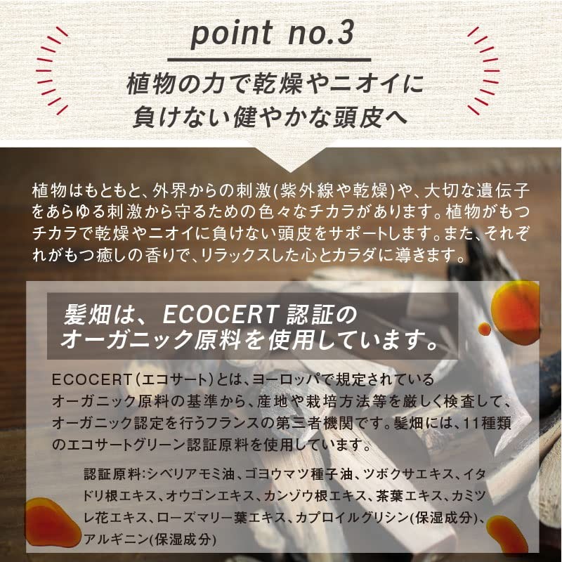 Hair Field nonsirikonsukyarupusyanpu- 300ml