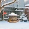 LBTING Bird Feeder for Outside, Squirrel Proof Wild Bird Feeder,