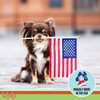 Licks Pill-Free Small Breed Dog Joint and Heart - Glucosamine
