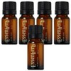 Essenherb tea tree 100 oil, 10ml, 5 pieces / 에센허브 티트리 100 오일, 10ml, 5개