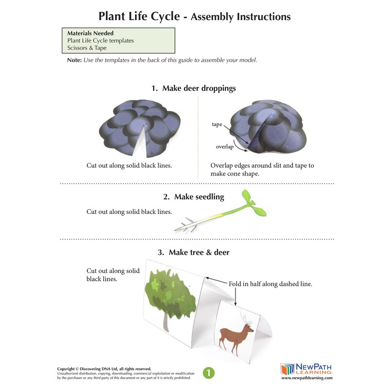 NewPath Plant Life Cycle 3-D Paper Model Making Kit, Set/5