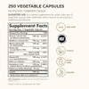 Solgar Vitamin B-Complex 100" - 250 Vegetable Capsules