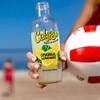 Calypso Lemonade, Original Lemonade, Made with Real Fruit, 16 Fl