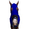 Majestic Ally Stretch Lycra Horse Hood with Zipper (Large, Royal
