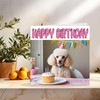 Poodle Birthday Card - Fun Dog Birthday Card 145 x