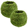 Arcadia Garden Products KO02 Kokedama-6.5 x 5.9”, Set of 2,