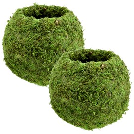 Arcadia Garden Products KO02 Kokedama-6.5 x 5.9”, Set of 2, Green