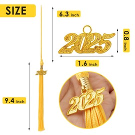 2025 Gold Graduation Tassel: Tassel for Graduation Cap 2025, Class of 2025 Tassel Charm Graduation Cap Decorations, Charm Ceremonies Accessories for Graduates - 1 PCS with Gold Date