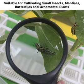 Butterfly Habitat, Transparent Butterfly Cage Folding Butterfly Enclosure for Indoor Outdoor, 11.8 x 11.4 x 16.1 Inch