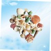 DOITOOL 1pack Natural Shell Conch Fish Tank Landscaping DIY Craft