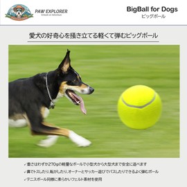 PAW EXPLORER Big Ball for Dogs | 9.4 inches (24 cm), Inflatable Big Ball, Ball Play, Bouncy, Soft, Tennis Ball, Large Dogs, Medium Dogs, Small Dogs, Stylish, Pow-cool, Outdoors