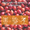 Premium GT Herbs & Fruits Rosehips 20 Tea bags