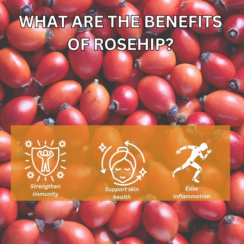Premium GT Herbs & Fruits Rosehips 20 Tea bags